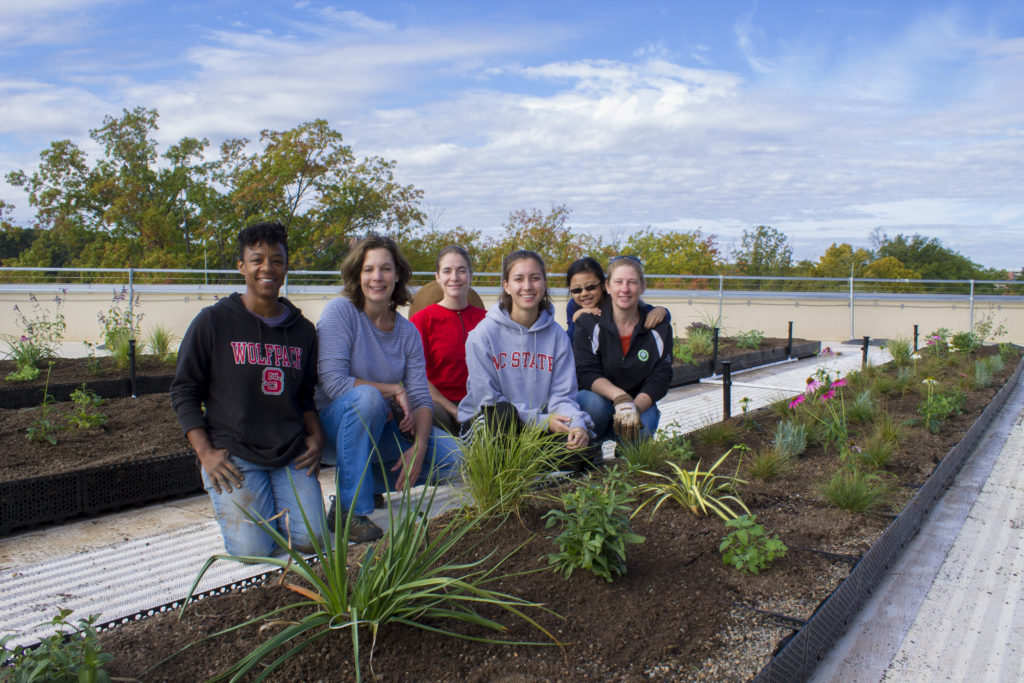 Students tend to the rooftop garden.